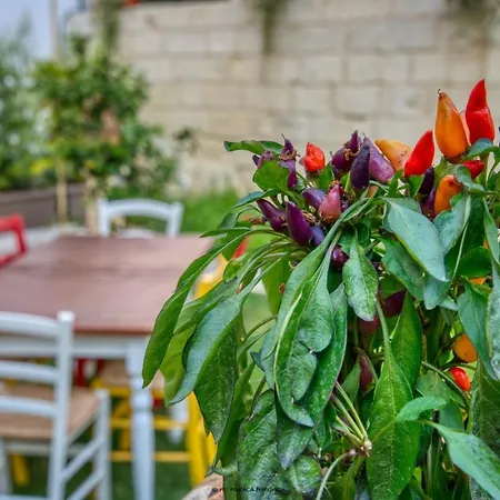 Hotiday Gianmarti Bed & Breakfast